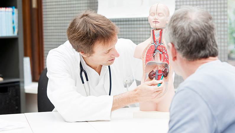 Patient and medical professional looking at a mannequin displaying the human anatomy