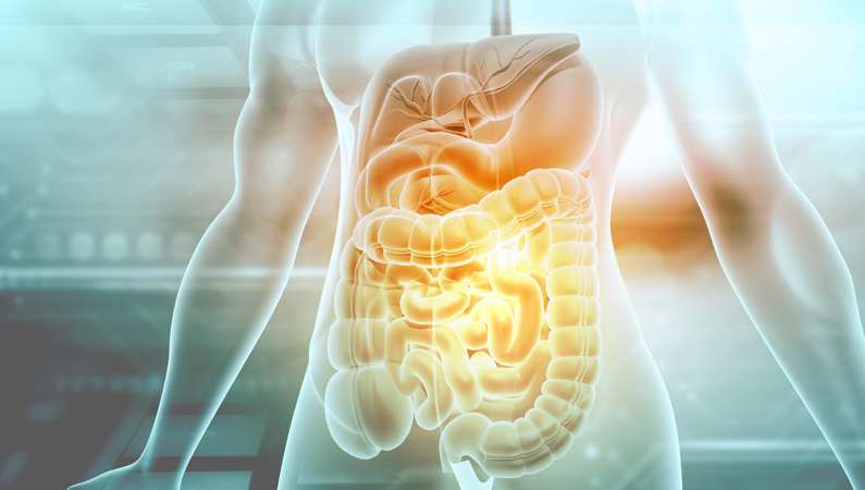 Digestive Health Center header image.