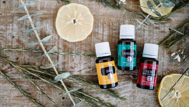 Lemon, peppermint and tea tree essential oil bottles