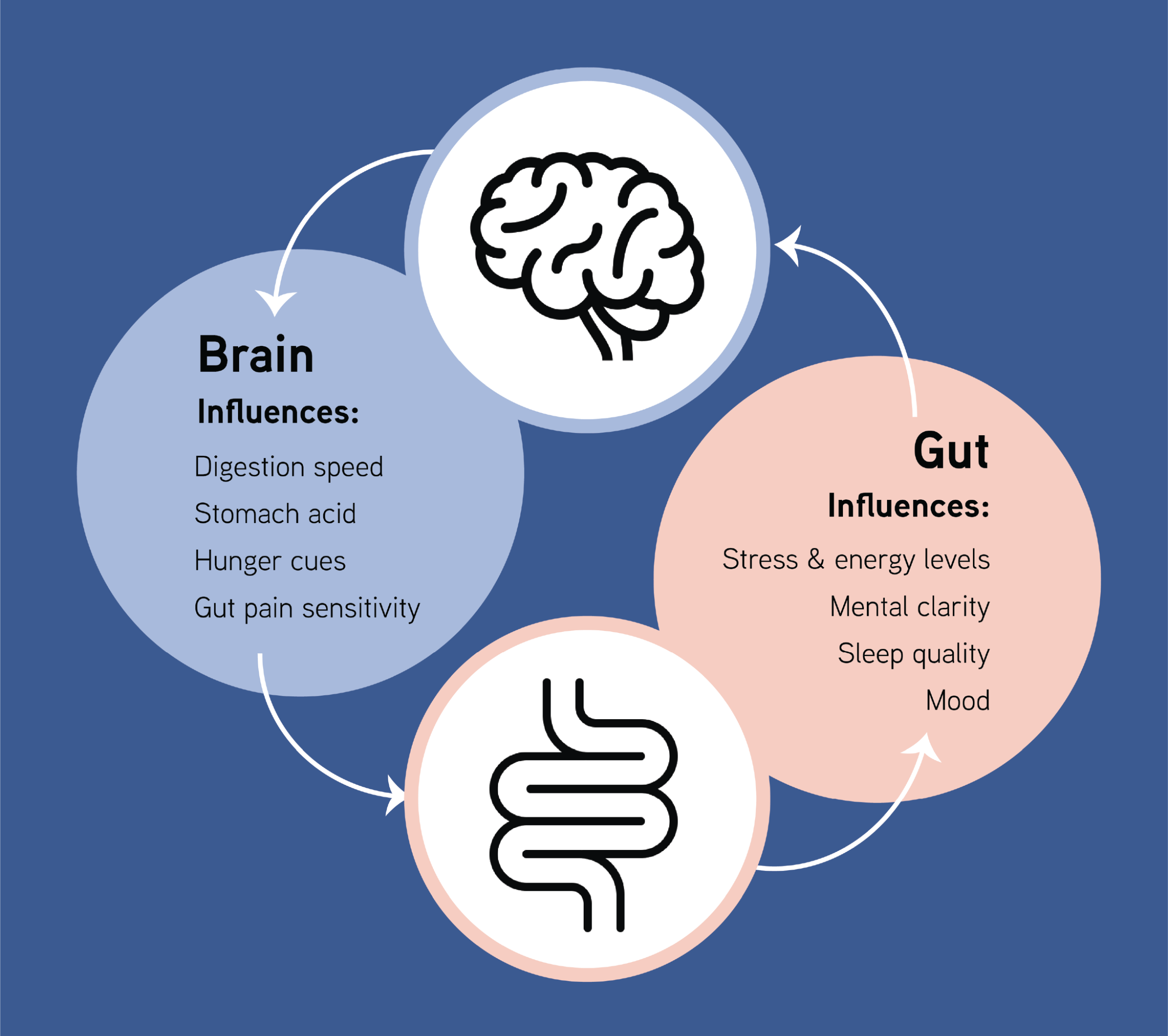 The connection between your brain and your gut
