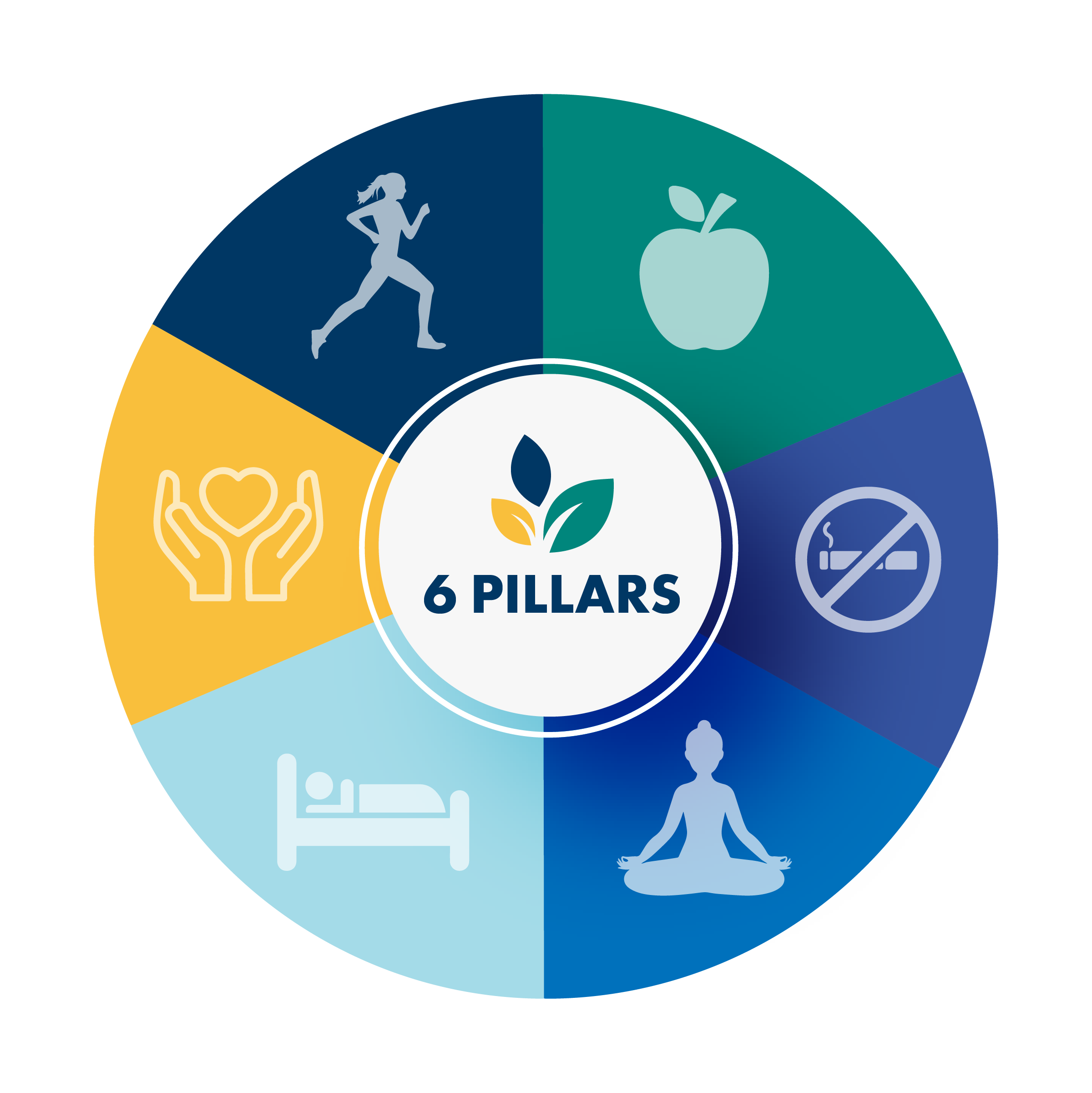 Cycle diagram of the six pillars of Lifestyle Medicine.