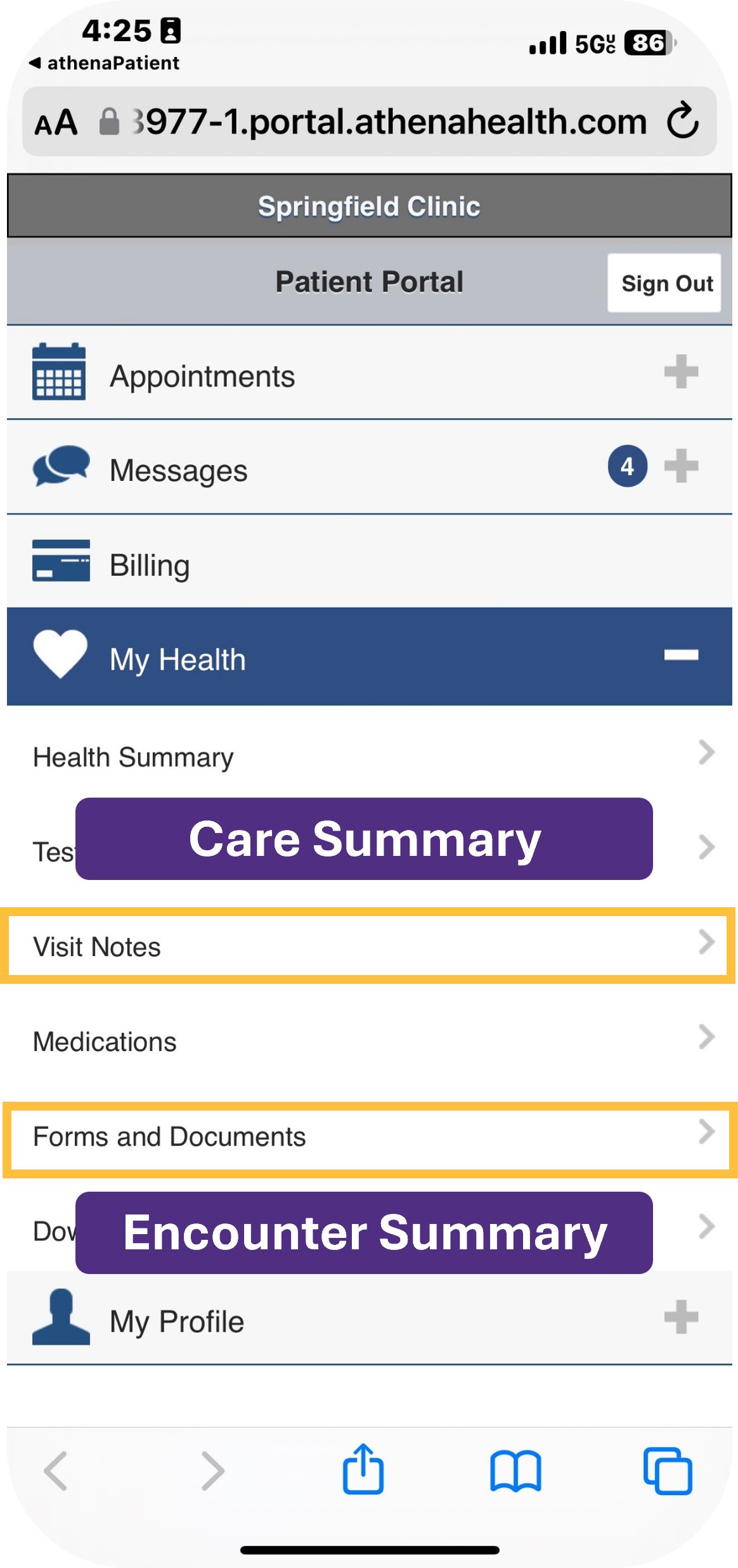 mobile view of summaries in the portal