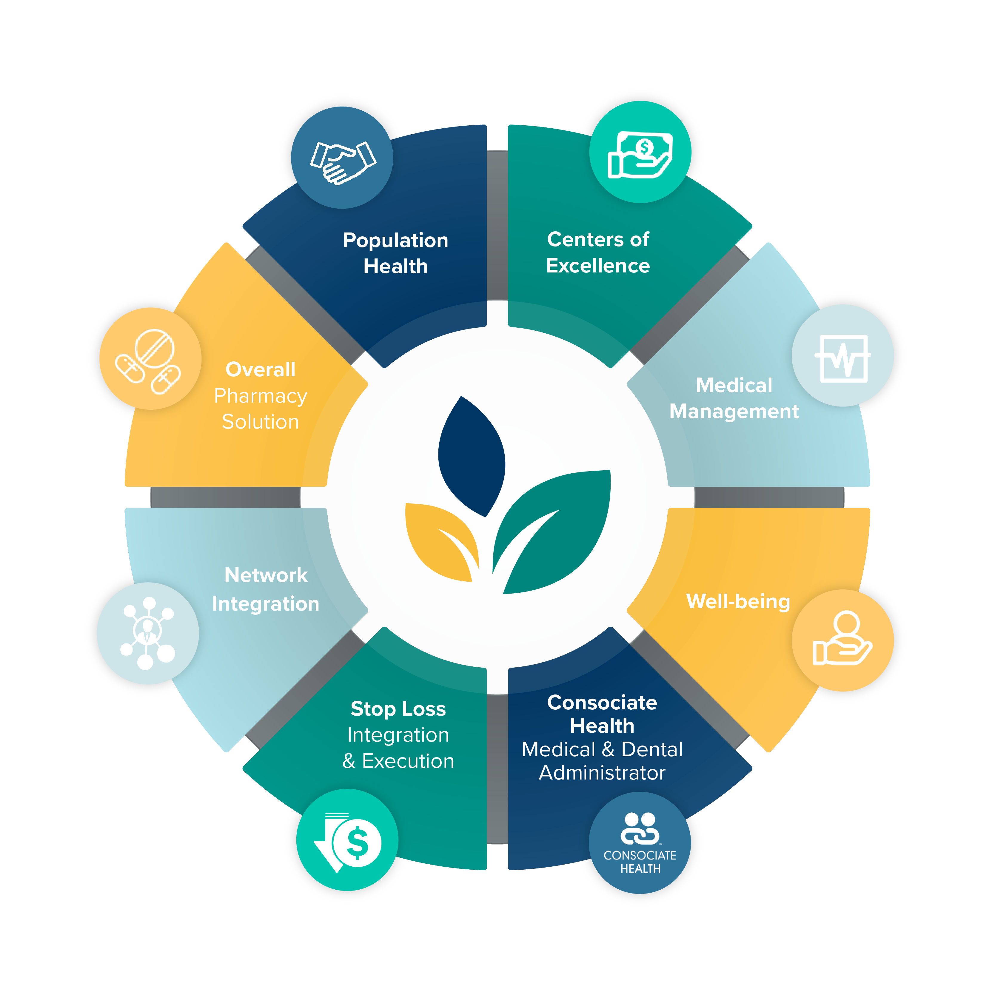 Colorful wheel graphic explaining employer benefits of Springfield Clinic Advantage.