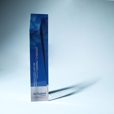 The Eveloff Award in front of a white background.