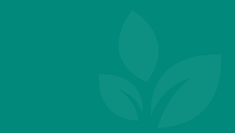 solid green background with faint springfield clinic leaves